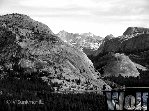 Reflections Yosemite 001 Copyright Villayat Sunkmanitu.jpg